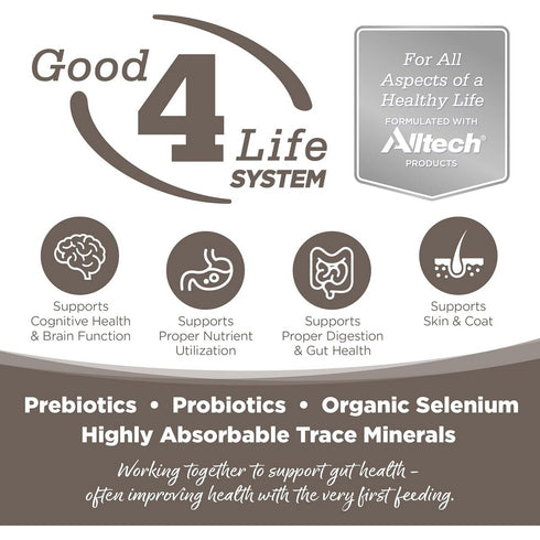 NutriSource Senior Recipe Dry Dog Food 12lb - Poudre Pet & Feed Supply 2